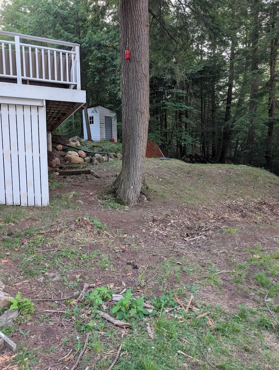 Cottage yard after junk removal