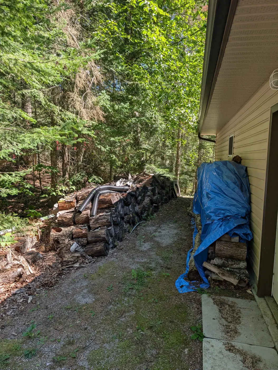 Rotting log pile along cottage side before removal